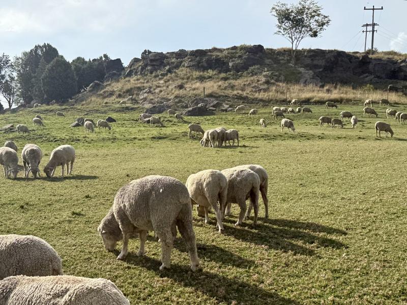 0 Bedroom Property for Sale in Harrismith Free State